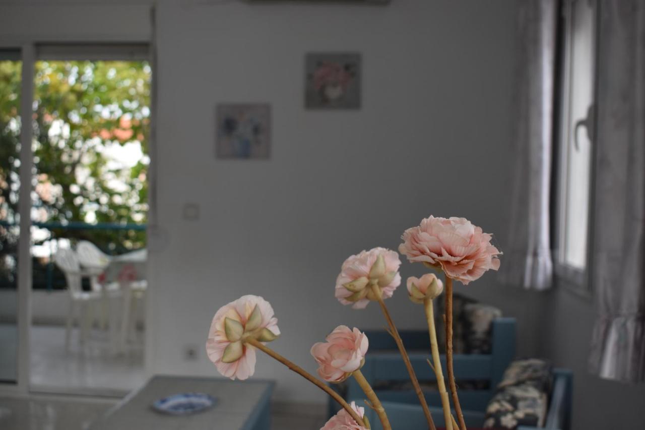Niki Apartments Polychrono Zewnętrze zdjęcie
